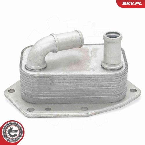 ESEN SKV &Ouml;lk&uuml;hler, Motor&ouml;l