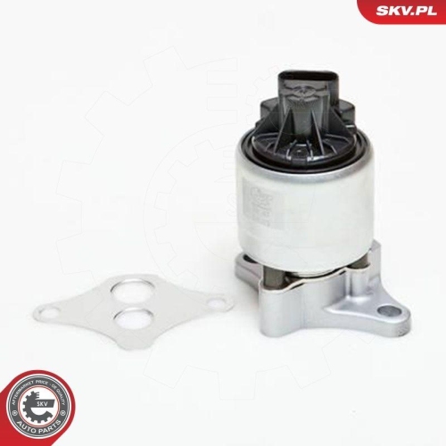 ESEN SKV AGR-Ventil 14SKV037