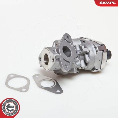 ESEN SKV AGR-Ventil 14SKV038