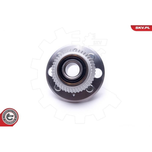 ESEN SKV Radlagersatz