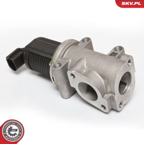 ESEN SKV AGR-Ventil 14SKV055