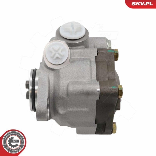 ESEN SKV Hydraulikpumpe, Lenkung 10SKV318