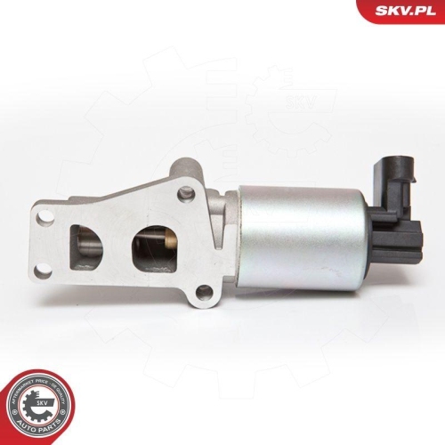 ESEN SKV AGR-Ventil 14SKV065