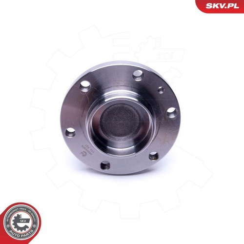 ESEN SKV Radlagersatz 29SKV374