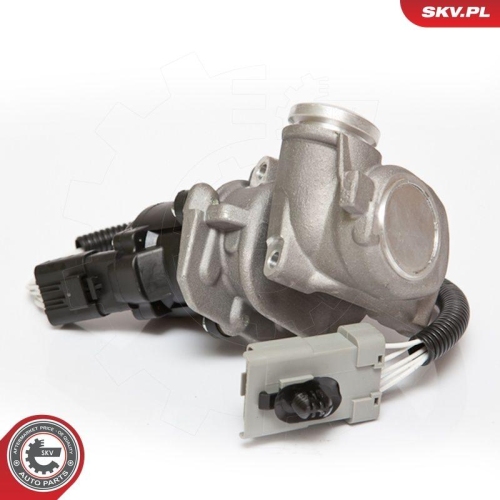 ESEN SKV AGR-Ventil 14SKV067