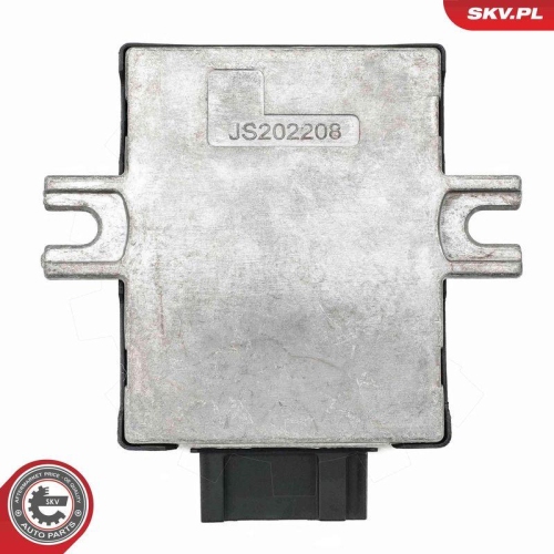 ESEN SKV Steuergerät, Kraftstoffpumpe