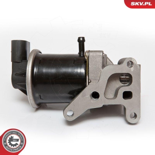 ESEN SKV AGR-Ventil 14SKV074