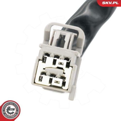 ESEN SKV Schalter, Heckklappe 96SKV253