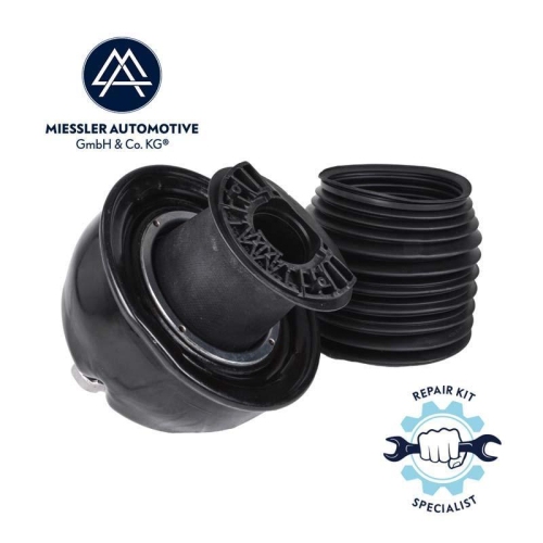 LUFTFEDER Miessler Automotive 11013-01-3138