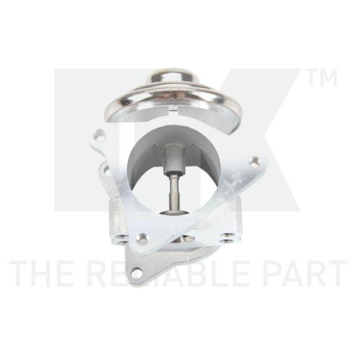 NK AGR-Ventil 4599002
