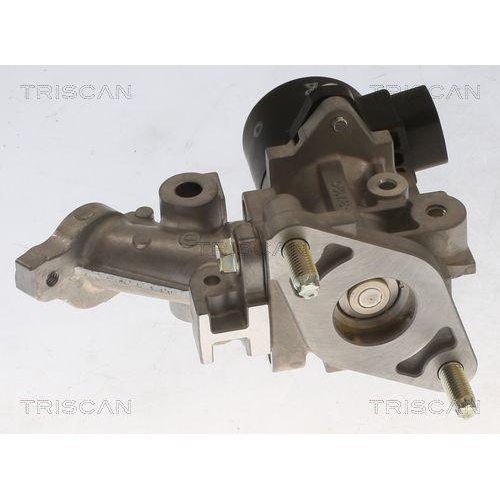 TRISCAN AGR-Ventil 8813 13067