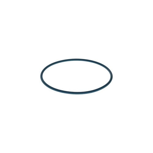 BOSCH Gummiring F 00N 204 105