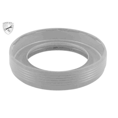 VAICO Steuerkettensatz EXPERT KITS +