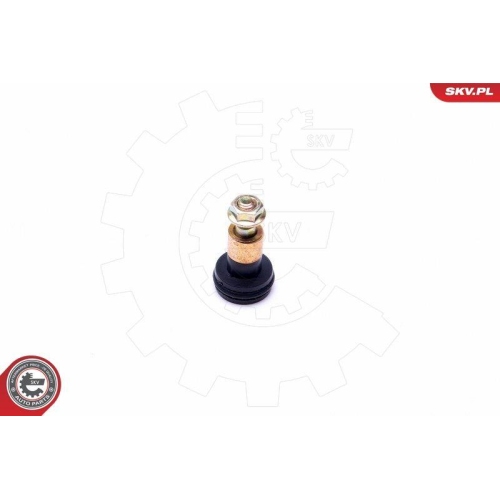 ESEN SKV Rollenf&uuml;hrung, Schiebet&uuml;r