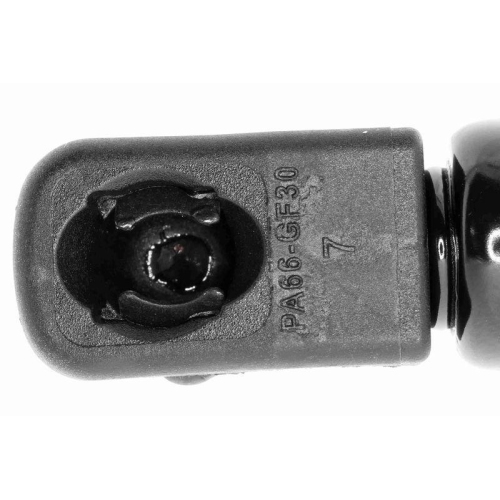 VAICO Gasfeder, Motorhaube Original VAICO Qualit&auml;t V20-0984