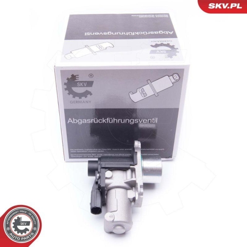 ESEN SKV AGR-Ventil 14SKV170