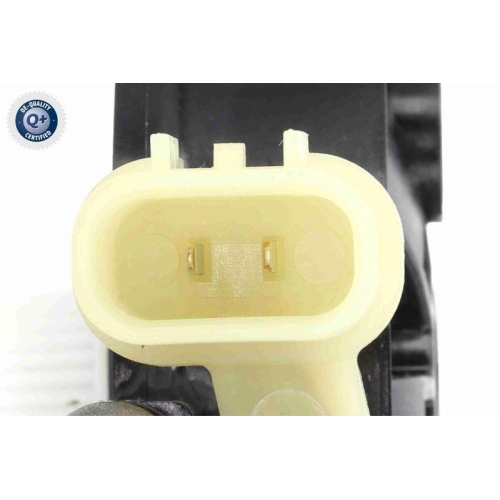 ACKOJA Elektromotor, Fensterheber Green Mobility Parts A52-05-0019