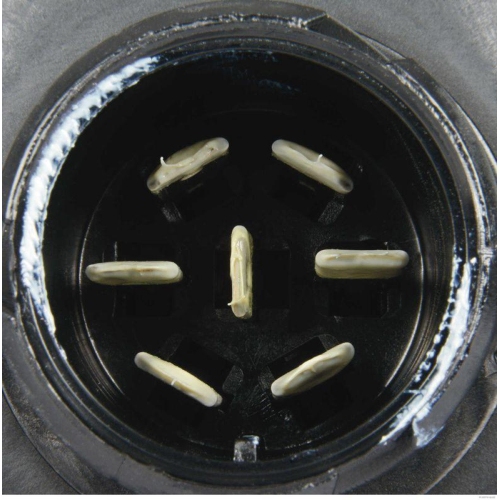 HERTH+BUSS ELPARTS Heckleuchte 83830413