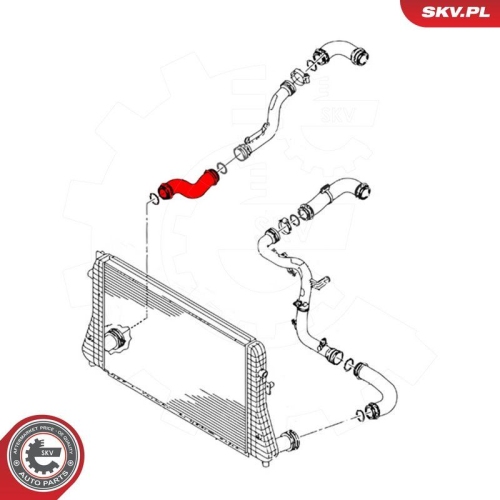 ESEN SKV Ladeluftschlauch 43SKV425