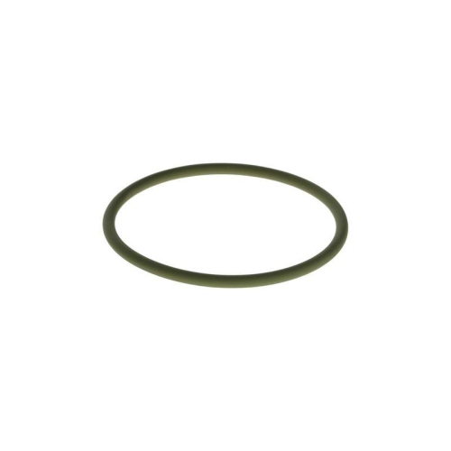 BOSCH Gummiring F 00R 0P0 353