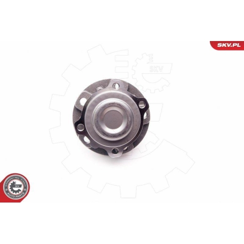 ESEN SKV Radlagersatz