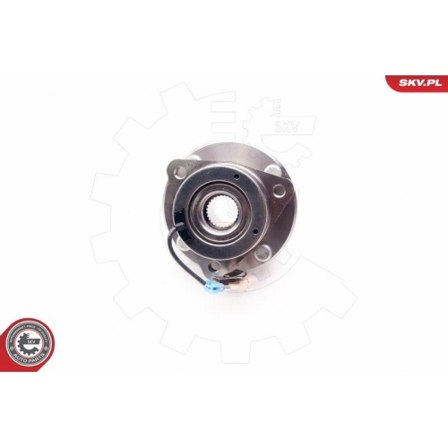 ESEN SKV Radlagersatz