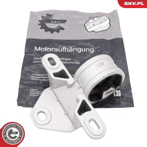 ESEN SKV Lagerung, Motor 75SKV020