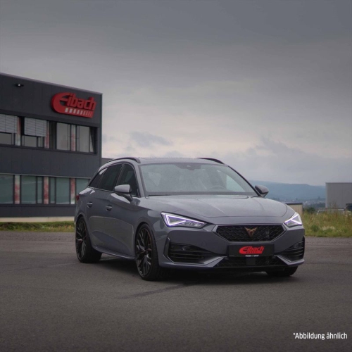 EIBACH Fahrwerkssatz, Federn Sportline E20-81-018-01-22