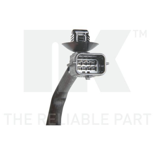 NK AGR-Ventil 4599055