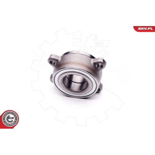 ESEN SKV Radlagersatz