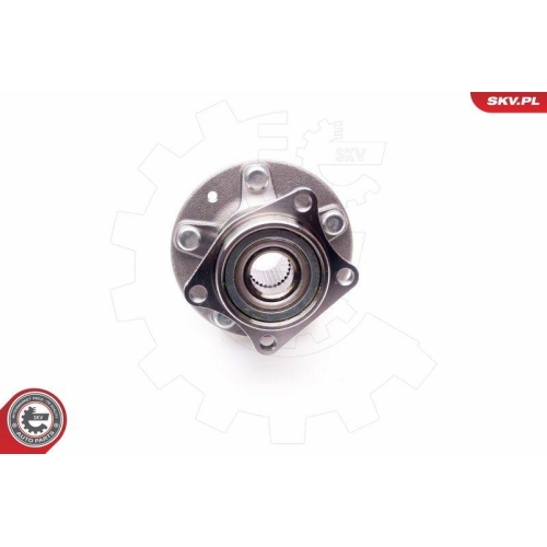 ESEN SKV Radlagersatz