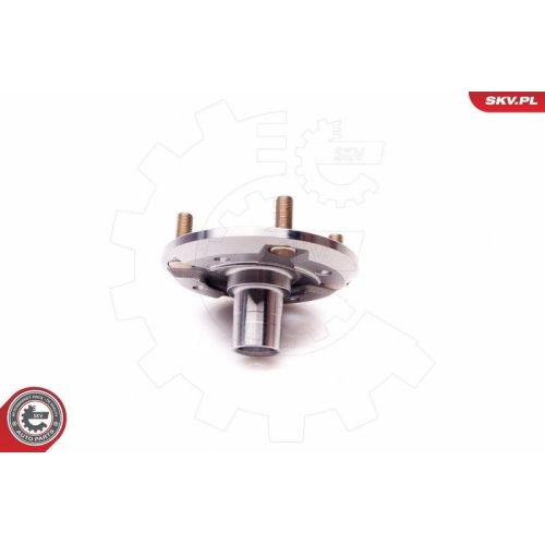 ESEN SKV Radlagersatz