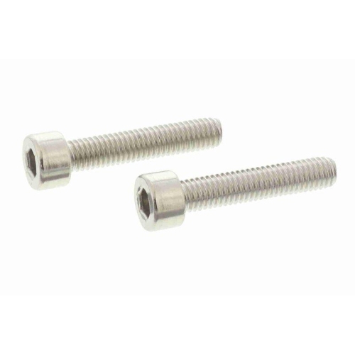 VAICO Pumpe, Lamellenkupplung (Allradantrieb) Original VAICO Qualität V95-0596