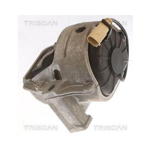 TRISCAN Lagerung, Motor 8505 29196