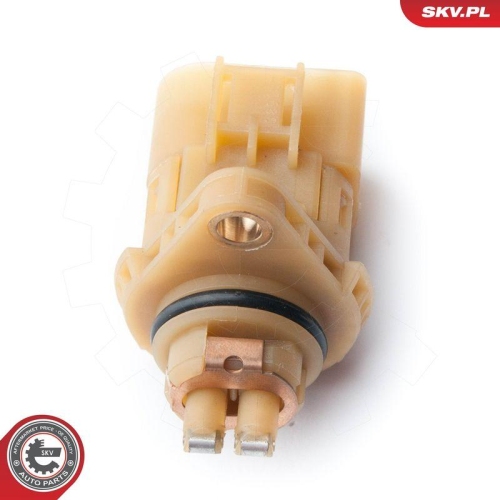 ESEN SKV Schalter, Fahrstufe 96SKV003