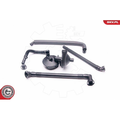 ESEN SKV Reparatursatz, Kurbelgehäuseentlüftung