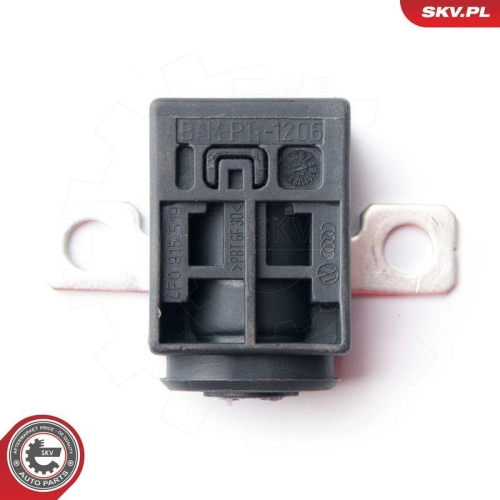 ESEN SKV &Uuml;berspannungsschutzger&auml;t, Generator 96SKV004