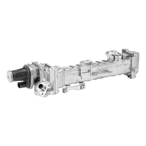 BorgWarner AGR-Modul OE-Version/Erstausr&uuml;stung 749009D0