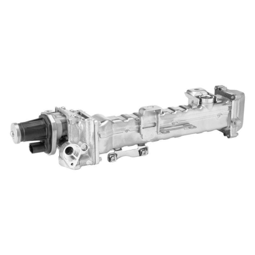 BorgWarner AGR-Modul OE-Version/Erstausr&uuml;stung 749010D0