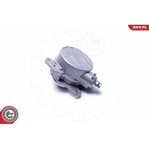 ESEN SKV Unterdruckpumpe, Bremsanlage