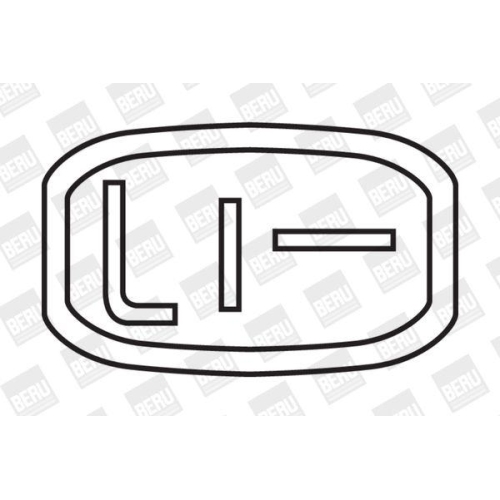 BorgWarner (BERU) Z&uuml;ndspule ZS274