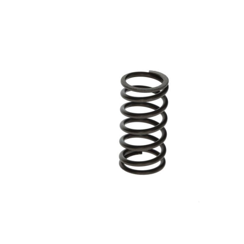 BOSCH Feder F 00N 201 853