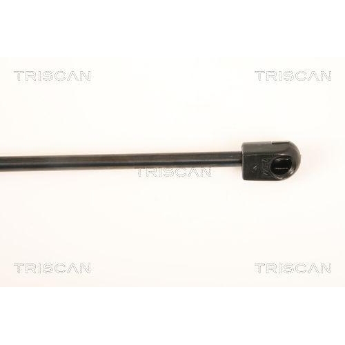 TRISCAN Gasfeder, Koffer-/Laderaum 8710 29287