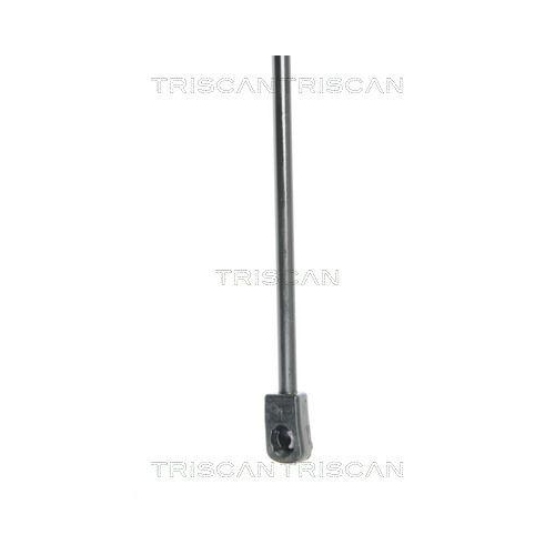 TRISCAN Gasfeder, Koffer-/Laderaum 8710 25238