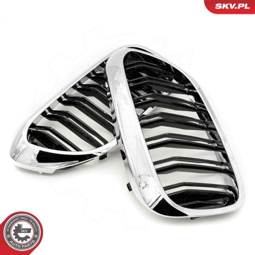 ESEN SKV Kühlergitter