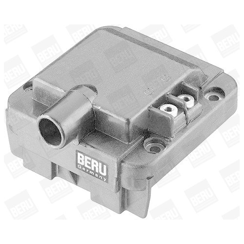 BorgWarner (BERU) Z&uuml;ndspule ZS278
