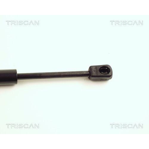 TRISCAN Gasfeder, Motorhaube 8710 16104
