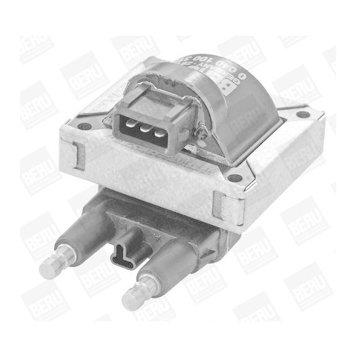 BorgWarner (BERU) Z&uuml;ndspule ZS317