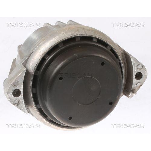 TRISCAN Lagerung, Motor 8505 11103