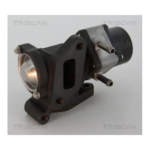 TRISCAN AGR-Ventil 8813 14005